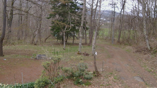 長野県菅平高原 ゆたか山荘 坂上 2026/04/23 07:45