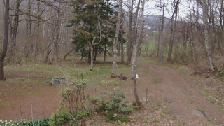 長野県菅平高原 ゆたか山荘 坂上 2026/04/23 08:00