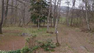 長野県菅平高原 ゆたか山荘 坂上 2026/04/23 08:15
