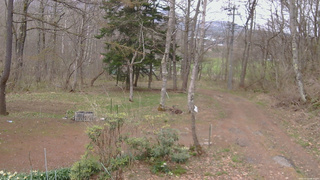 長野県菅平高原 ゆたか山荘 坂上 2026/04/23 08:45