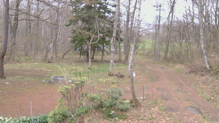 長野県菅平高原 ゆたか山荘 坂上 2026/04/23 09:00