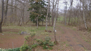 長野県菅平高原 ゆたか山荘 坂上 2026/04/23 09:15