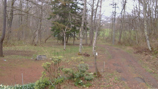 長野県菅平高原 ゆたか山荘 坂上 2026/04/23 10:00