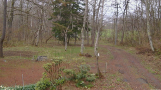 長野県菅平高原 ゆたか山荘 坂上 2026/04/23 10:30
