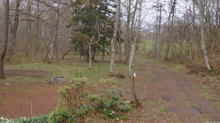 長野県菅平高原 ゆたか山荘 坂上 2026/04/23 10:45