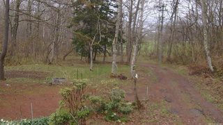 長野県菅平高原 ゆたか山荘 坂上 2026/04/23 11:00