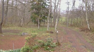 長野県菅平高原 ゆたか山荘 坂上 2026/04/23 11:45