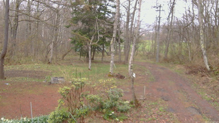 長野県菅平高原 ゆたか山荘 坂上 2026/04/23 12:00