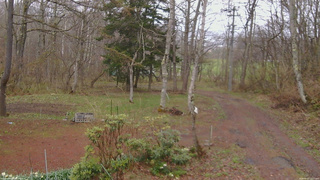 長野県菅平高原 ゆたか山荘 坂上 2026/04/23 12:15