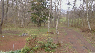 長野県菅平高原 ゆたか山荘 坂上 2026/04/23 12:45