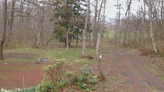 長野県菅平高原 ゆたか山荘 坂上 2026/04/23 13:45