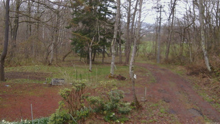 長野県菅平高原 ゆたか山荘 坂上 2026/04/23 15:30