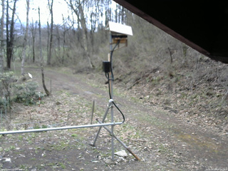 長野県菅平高原 ゆたか山荘 南側 2026/04/24 09:00