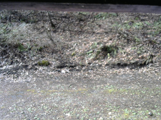 長野県菅平高原 ゆたか山荘 東側(坂下) 2026/04/24 08:00