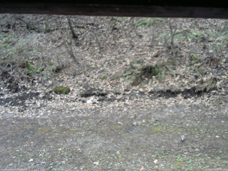 長野県菅平高原 ゆたか山荘 東側(坂下) 2026/04/24 09:00