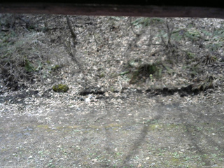 長野県菅平高原 ゆたか山荘 東側(坂下) 2026/04/24 10:45