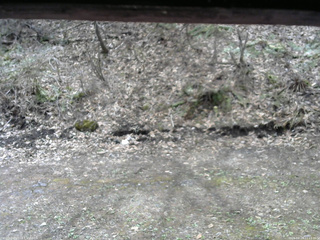 長野県菅平高原 ゆたか山荘 東側(坂下) 2026/04/24 11:15