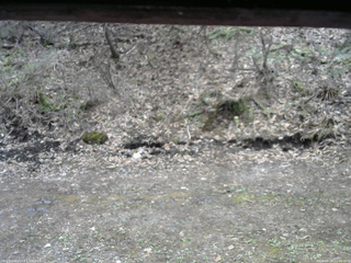 長野県菅平高原 ゆたか山荘 東側(坂下) 2026/04/24 12:00