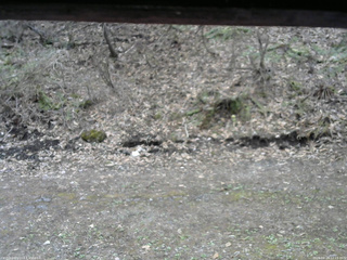 長野県菅平高原 ゆたか山荘 東側(坂下) 2026/04/24 12:15