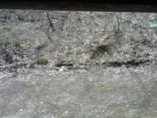 長野県菅平高原 ゆたか山荘 東側(坂下) 2026/04/24 12:45
