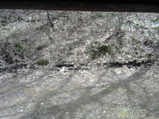 長野県菅平高原 ゆたか山荘 東側(坂下) 2026/04/24 13:15