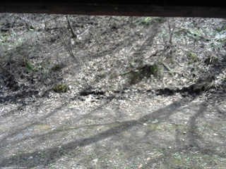 長野県菅平高原 ゆたか山荘 東側(坂下) 2026/04/24 13:30