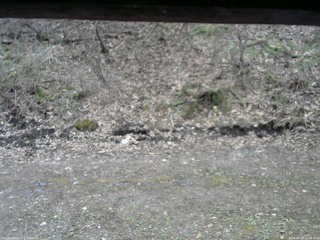 長野県菅平高原 ゆたか山荘 東側(坂下) 2026/04/24 15:00