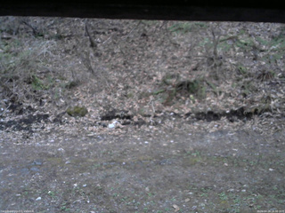 長野県菅平高原 ゆたか山荘 東側(坂下) 2026/04/24 18:30