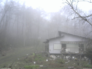 長野県菅平高原 ゆたか山荘 西側(坂上) 2026/04/24 05:45