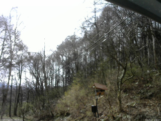 長野県菅平高原 ゆたか山荘 温度計 2026/04/24 08:00