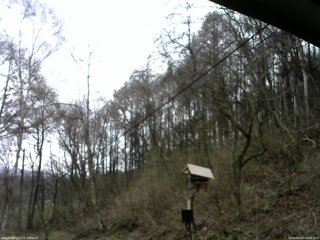 長野県菅平高原 ゆたか山荘 温度計 2026/04/24 09:00