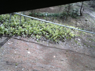 長野県菅平高原 ゆたか山荘 駐車場 2026/04/24 08:00