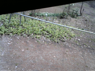 長野県菅平高原 ゆたか山荘 駐車場 2026/04/24 11:00