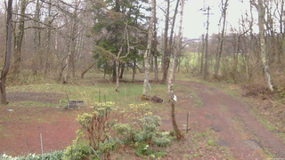 長野県菅平高原 ゆたか山荘 坂上 2026/04/24 06:00