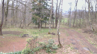 長野県菅平高原 ゆたか山荘 坂上 2026/04/24 09:00