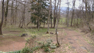 長野県菅平高原 ゆたか山荘 坂上 2026/04/24 10:00