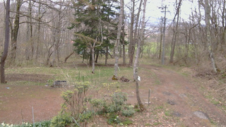 長野県菅平高原 ゆたか山荘 坂上 2026/04/24 11:45