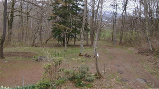 長野県菅平高原 ゆたか山荘 坂上 2026/04/24 12:00