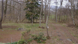 長野県菅平高原 ゆたか山荘 坂上 2026/04/24 12:30