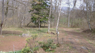 長野県菅平高原 ゆたか山荘 坂上 2026/04/24 13:15