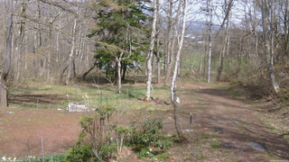長野県菅平高原 ゆたか山荘 坂上 2026/04/24 14:00