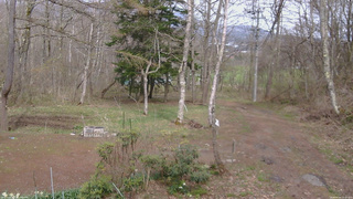 長野県菅平高原 ゆたか山荘 坂上 2026/04/24 14:30