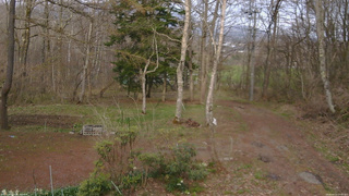 長野県菅平高原 ゆたか山荘 坂上 2026/04/24 17:00