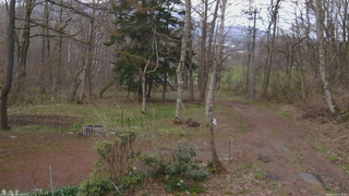 長野県菅平高原 ゆたか山荘 坂上 2026/04/24 17:30
