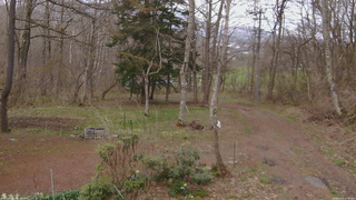 長野県菅平高原 ゆたか山荘 坂上 2026/04/24 17:45