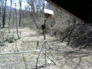 長野県菅平高原 ゆたか山荘 南側 2026/04/25 11:00