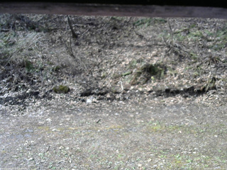 長野県菅平高原 ゆたか山荘 東側(坂下) 2026/04/25 08:00