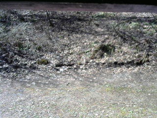 長野県菅平高原 ゆたか山荘 東側(坂下) 2026/04/25 08:15