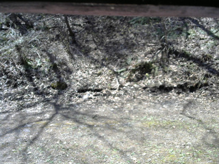 長野県菅平高原 ゆたか山荘 東側(坂下) 2026/04/25 10:00