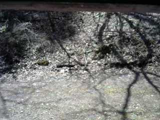 長野県菅平高原 ゆたか山荘 東側(坂下) 2026/04/25 10:30
